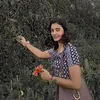 afia.71