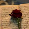 thariqthariq242