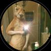 muichiro_tokito_1o