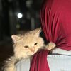 reda.ebrahim34