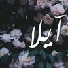 n.u__r.a