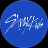 kpopstanskzstraykidsstay