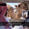 Al-Dosari