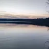 michazielaskiewic