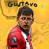 gustavohamer8