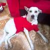 adri_61413
