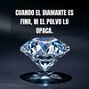 user5623257041816