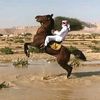 user31001125958156