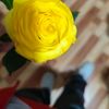 betsa_.be1