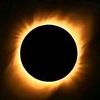 blacksunsoleilnoir