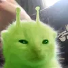.fr4ncttyx