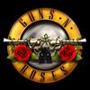 fans_gnr._