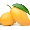 mangoess_fruit