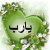 user2353788888155