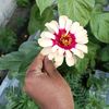 laxmilaxmi0688