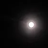 rui_245