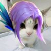 raptot_