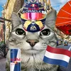 verstappen33012