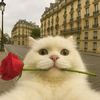 moee._3105