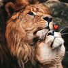Лев 🦁