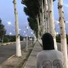 rys5ekov7