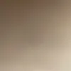 brandon2734c