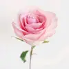 rose90z3