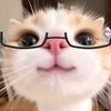 aqeelafs8