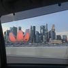 ziradailycam