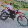 stevi503