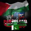 shahnawazbaloch474