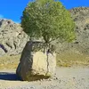 gholamfaraji6
