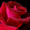sminyasmin8341
