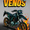 venos_02