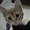 bhjimena
