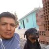user5828452153030