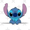 stich8846