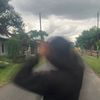 ardi_toyoshi