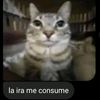 limon_con_sal._._
