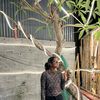 bhumikbhushal73