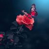 nadinadi7847