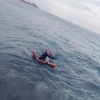 alex357982