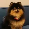 uma.potato.qualquer0