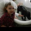 cocodoggy0