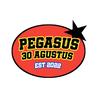 pegasus48