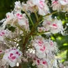 yeva.logunova.13mail.ru