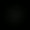 ferlm__13