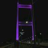 sagyngan_80