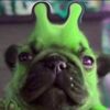 alienpug3