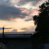 dasha_renbli299